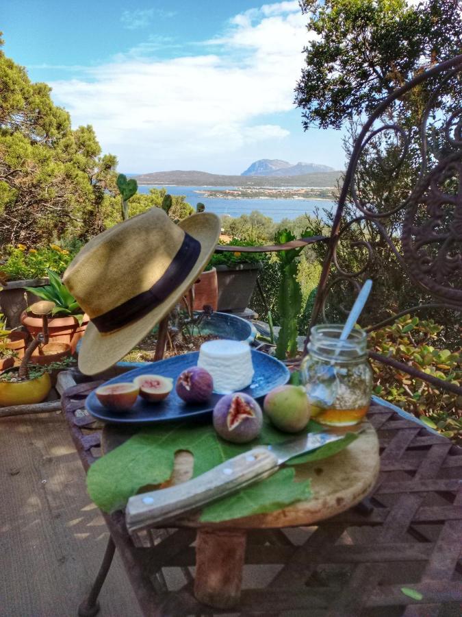 Villa Khepri Porto Rotondo Kültér fotó
