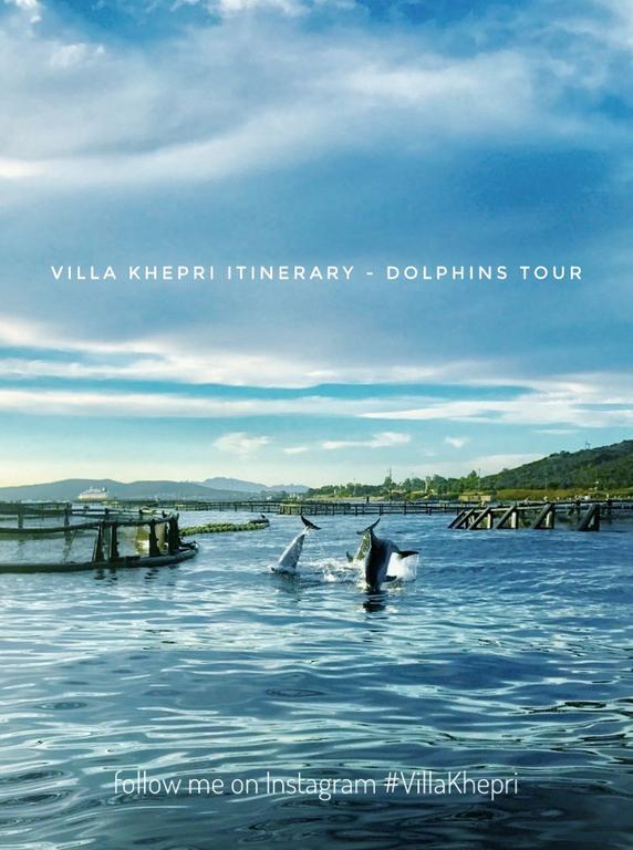 Villa Khepri Porto Rotondo Kültér fotó